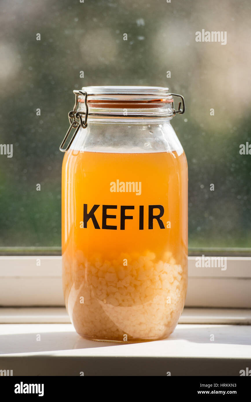In casa acqua kefir Foto Stock