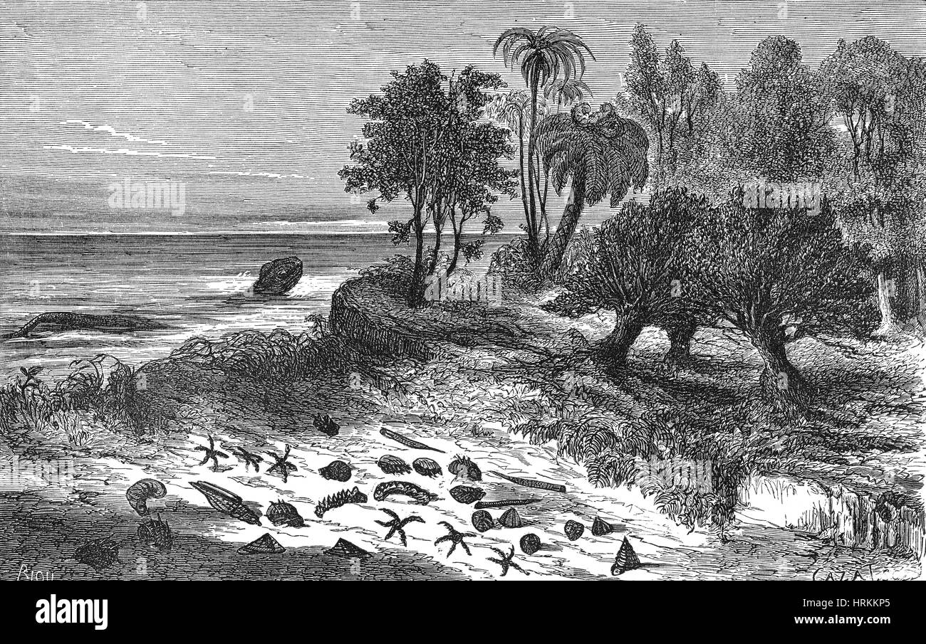 Cretaceo superiore orizzontale Foto Stock