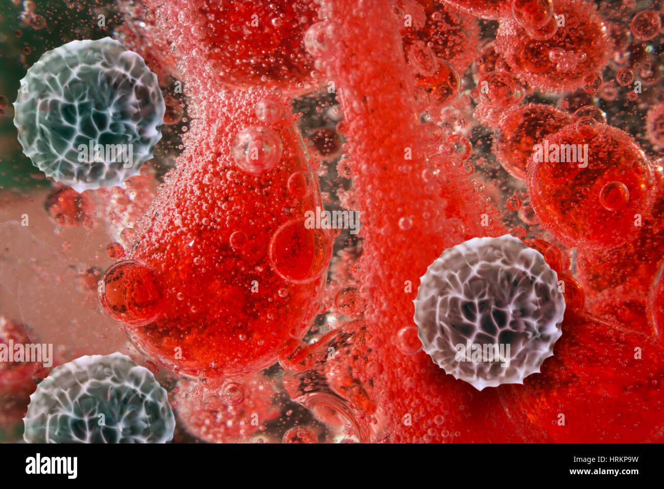 Salute dell'uomo di colore rosso e bianco bloodcells in macro immagine della scienza Foto Stock