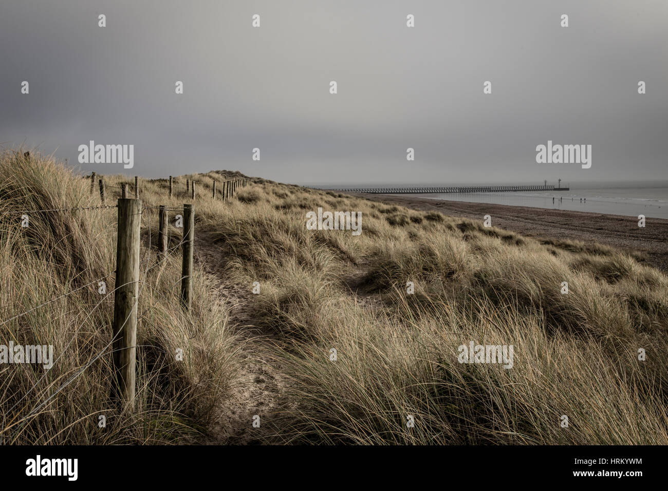 Banchi di sabbia su West Beach, Littlehampton Foto Stock