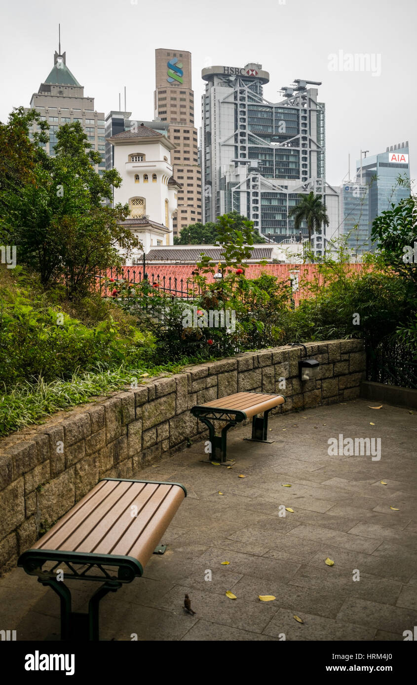 Panchine a Hong Kong Lo Zoo e il fogliame verde con HSBC Building in background in Hong Kong Foto Stock
