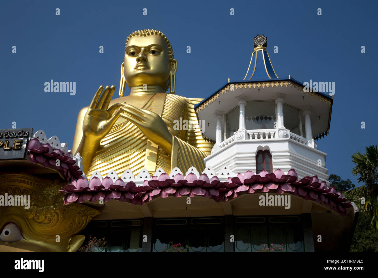 Dambulla Sri Lanka tempio dorato e Museo Golden Buddha nella Pravartana Dharmachakra Mudra - gesto di insegnare la ruota del dharma Foto Stock