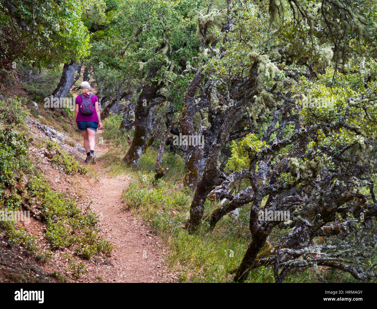 Donna di escursioni presso la Viorna nel Parco Nazionale Picos de Europa Cantabria Spagna settentrionale Foto Stock