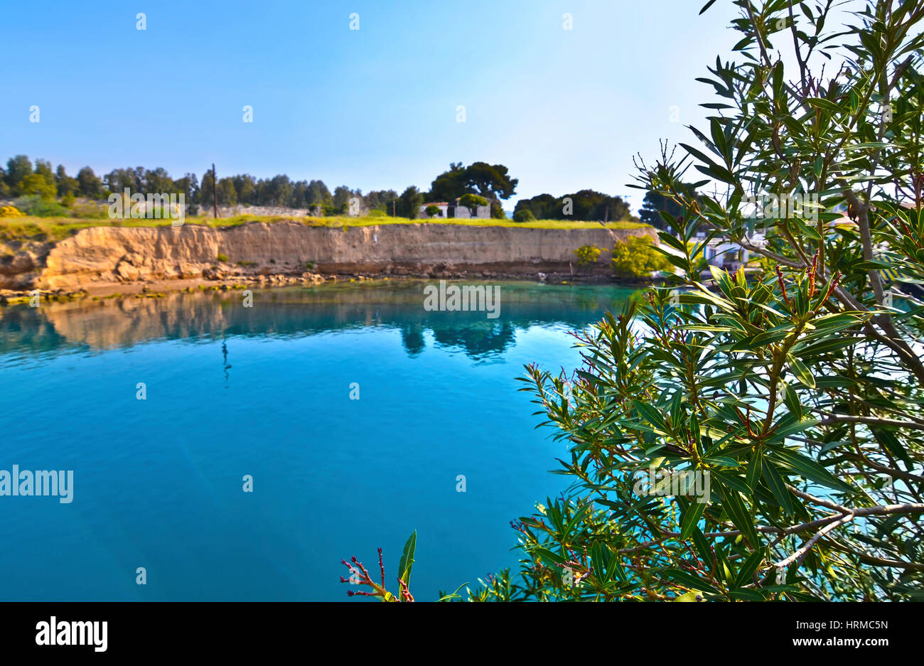 Close up di olivo al canale di Corinto in Grecia Foto Stock