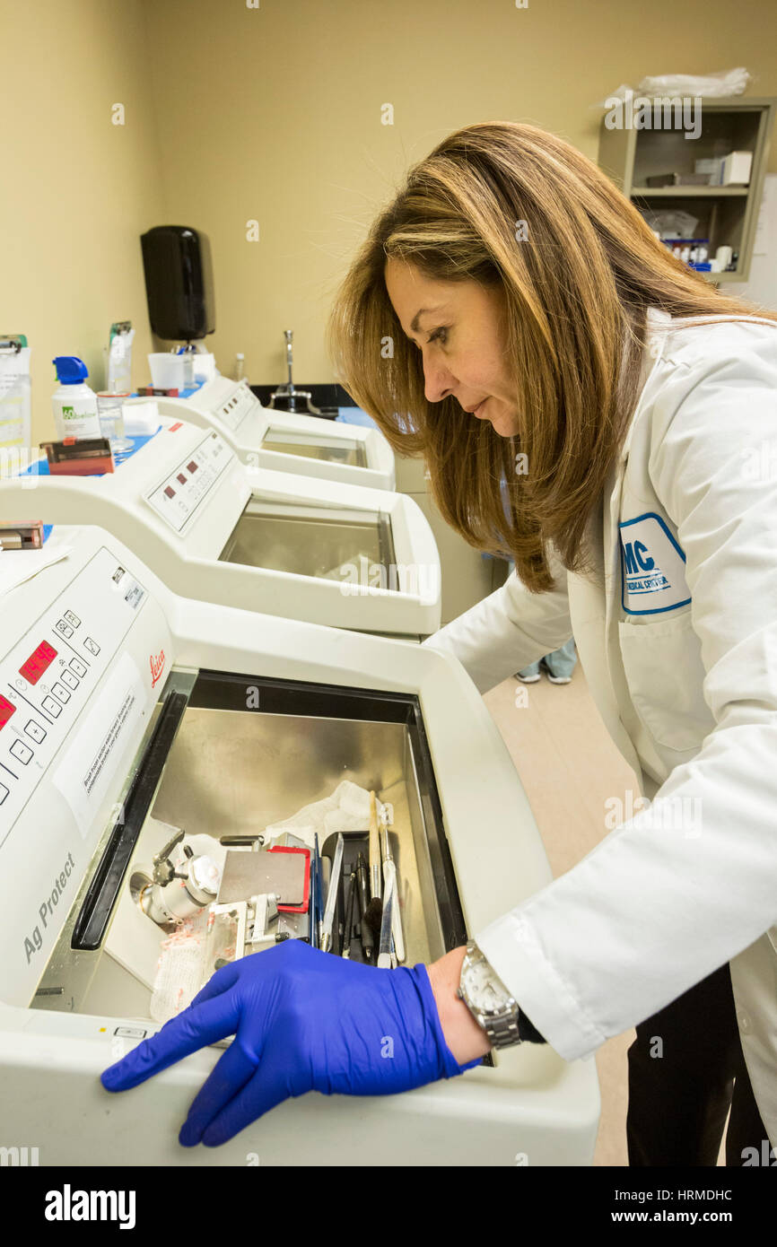 Detroit, Michigan - Dott.ssa Rouba Ali, un patologo al Detroit Medical Center, fettine di tessuto da un utero per essere in grado di esaminare sotto un microscop Foto Stock