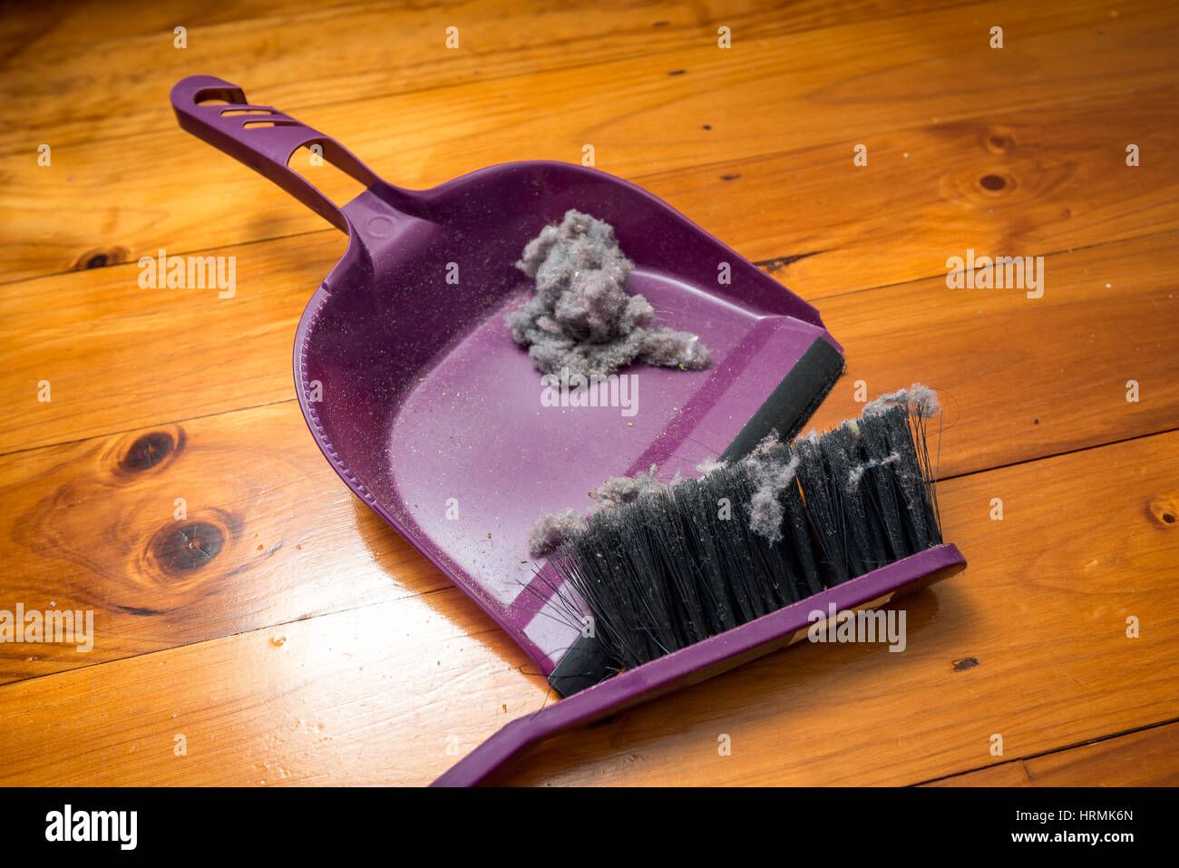 Paletta di plastica e pennello su un pavimento di legno. Accessori per la  pulizia. Sfondo scuro Foto stock - Alamy