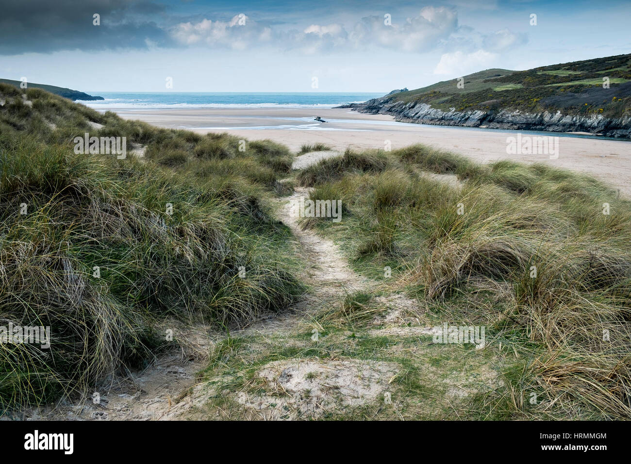Le dune di sabbia di erba marram crantock beach gannel estuary newquay cornwall Inghilterra Regno Unito Foto Stock