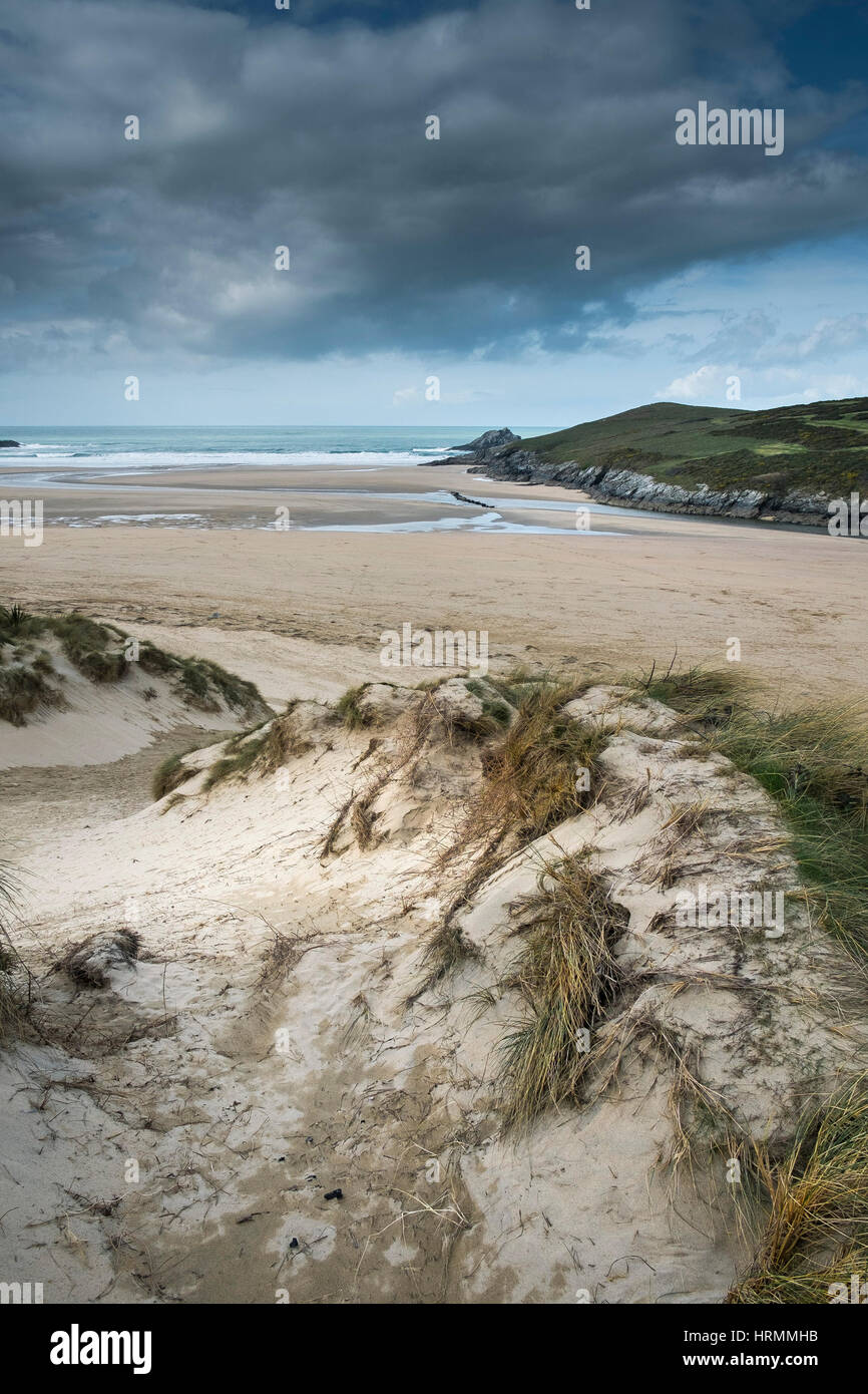 Le dune di sabbia di Erba Marram Crantock Beach Gannel Estuary Newquay Cornwall Inghilterra REGNO UNITO Foto Stock