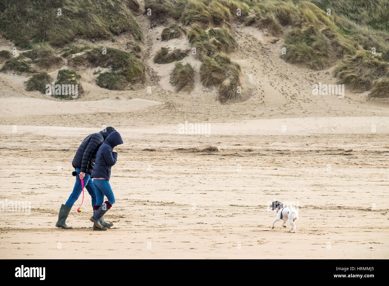 Regno Unito meteo condizioni ventose Dog walkers Crantock Beach Newquay Cornwall Inghilterra England Regno Unito. Foto Stock