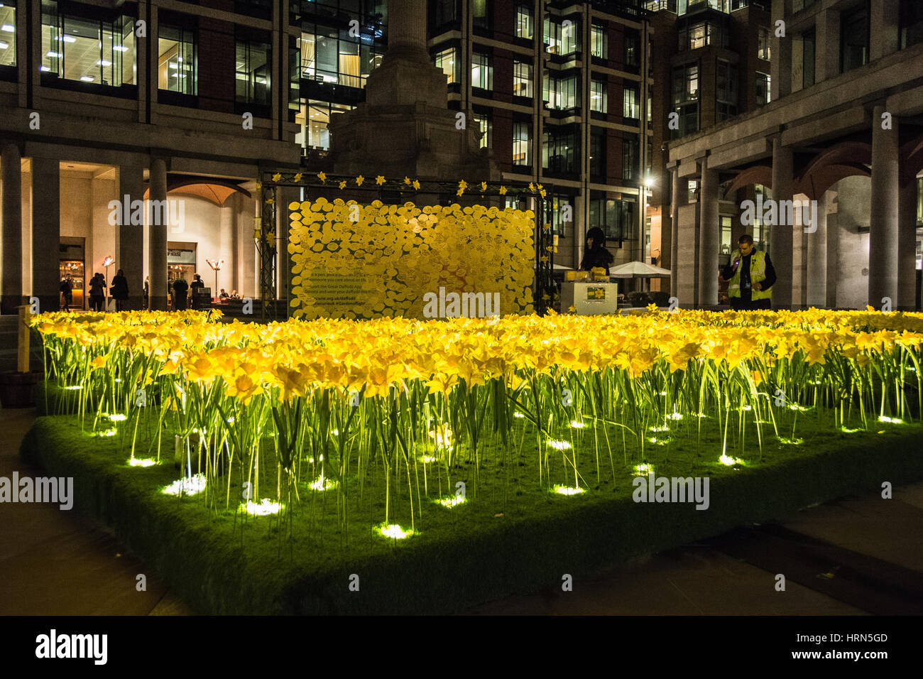 Marie Curie, il grande appello di Daffodil della carità del cancro e l'installazione del giardino della luce in Paternoster Square, Londra, Regno Unito Foto Stock