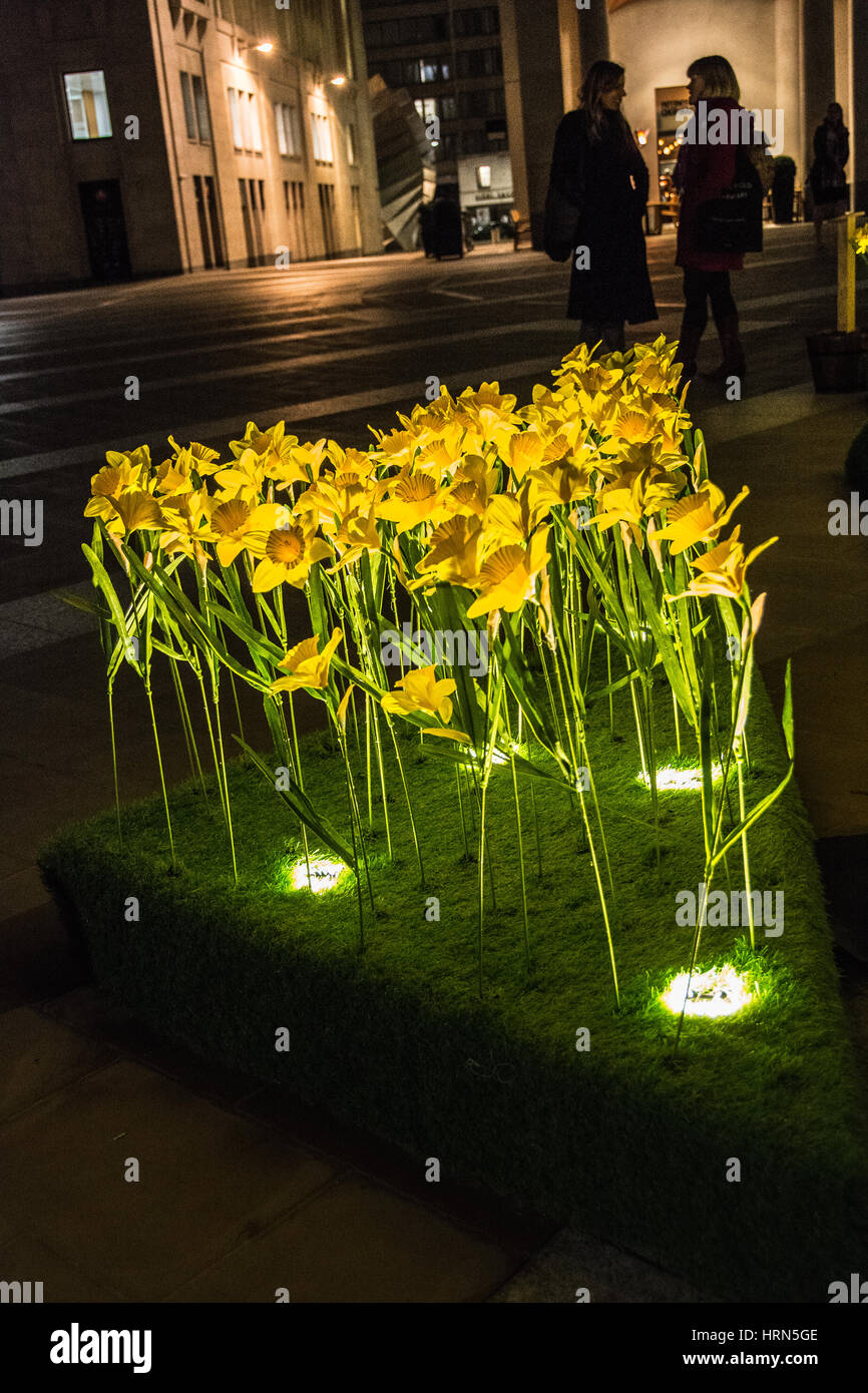 Marie Curie, il grande appello di Daffodil della carità del cancro e l'installazione del giardino della luce in Paternoster Square, Londra, Regno Unito Foto Stock