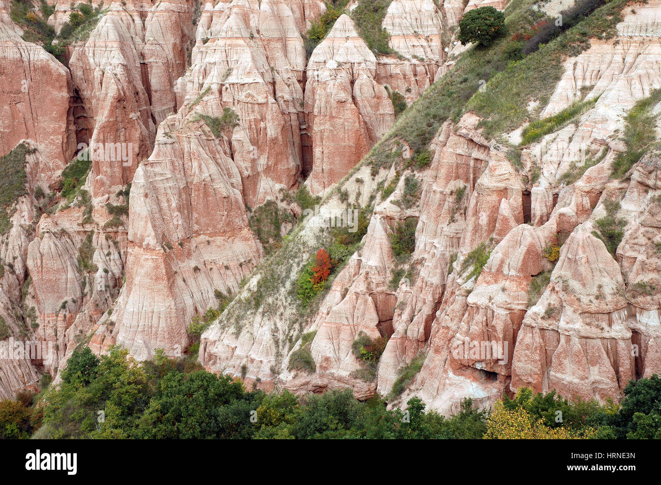 Riserva geologica. Il burrone di Rapa Rosie, Romania Foto Stock