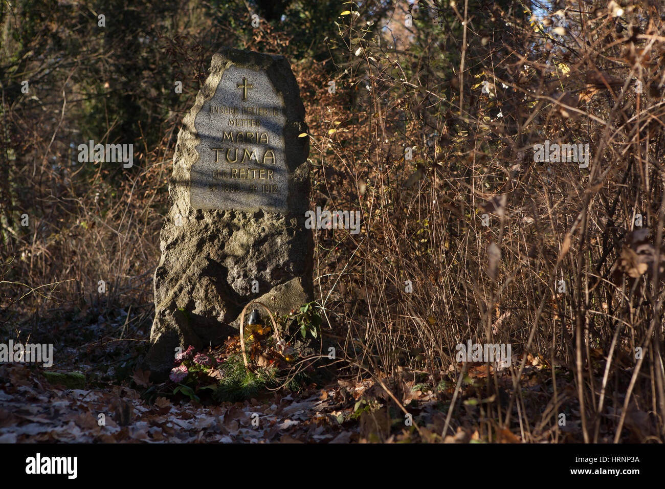 Abbandonato Bohnicky cimitero per i pazienti della Bohnice Ospedale Psichiatrico di Praga Repubblica Ceca, comunemente noto come pazzi nel cimitero. Il cimitero è completamente abbandonato per un secolo e mezzo di quasi tutte le tombe sono disattivati. L'oggetto contrassegnato per la rimozione definitiva di infermiere ospedale Maria Tuma, nee Reiter, nato nel 1882, morì nel 1912 all'età di circa 30, è uno dei pochi sopravvissuti di lapidi del cimitero. Foto Stock