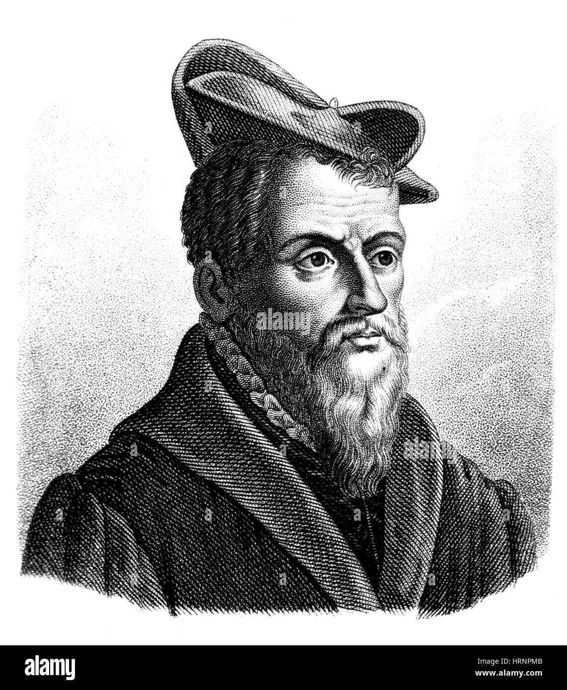 Pierre Belon, naturalista francese e anatomista comparativo Foto Stock