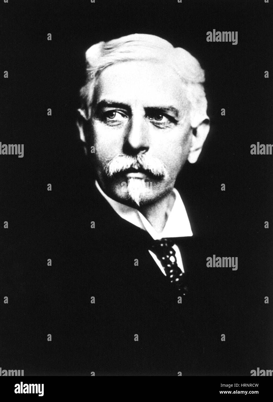 Daniel Elmer salmone, chirurgo veterinario Foto Stock