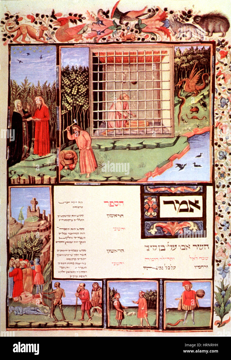 Avicenna del canonico della medicina, Edizione medievale Foto Stock