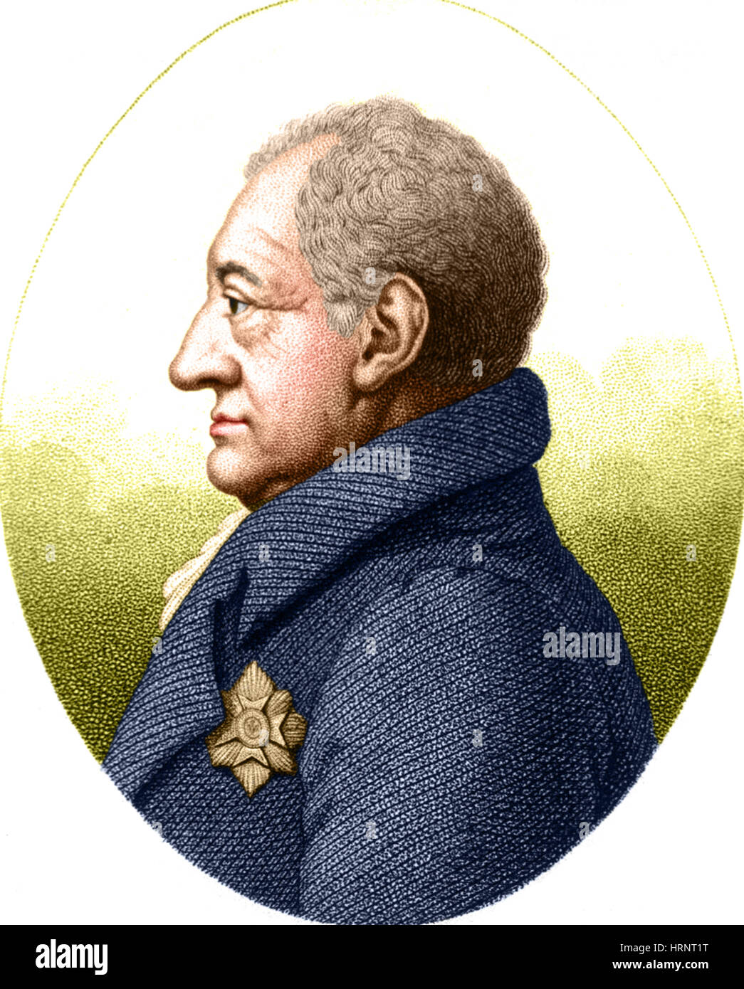 Johann Wolfgang von Goethe, autore tedesco e Polymath Foto Stock