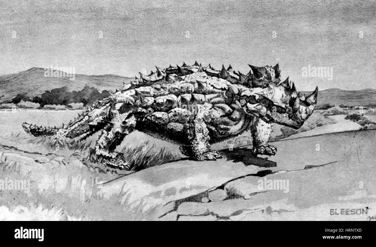 Stygimoloch, Cretaceo dinosauro Foto Stock