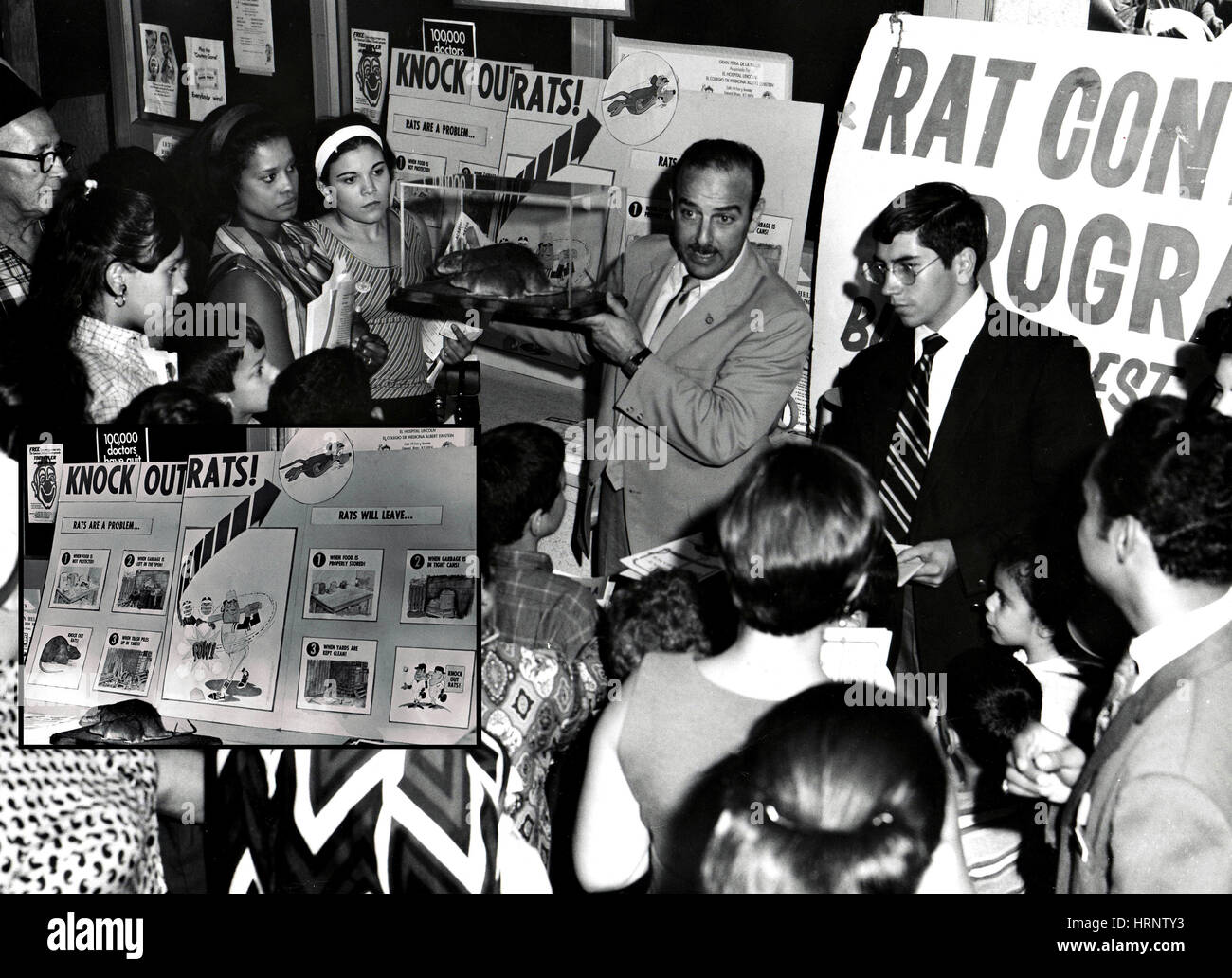Campagna contro i Ratti, 1952 Foto Stock
