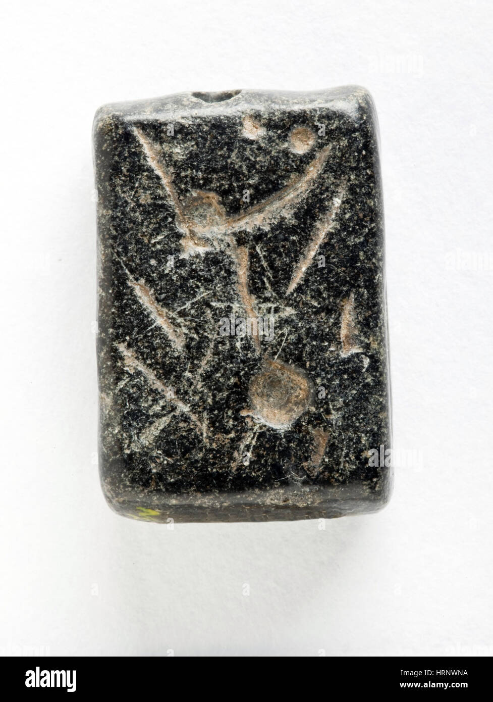 Serpentina nero amuleto, del IV secolo A.C. Foto Stock