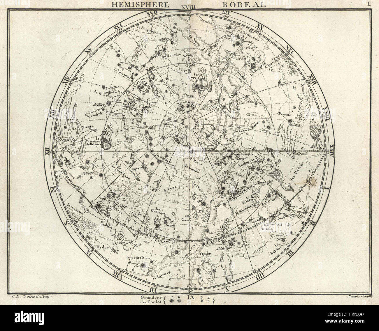 Stereografica Emisfero Settentrionale, 1687 Foto Stock