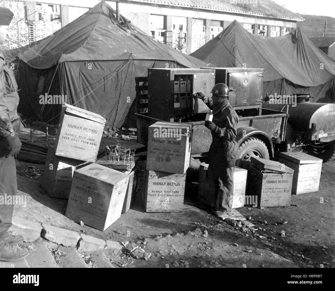 Guerra di Corea, MASH unità di alimentazione del sangue, 1950 Foto Stock