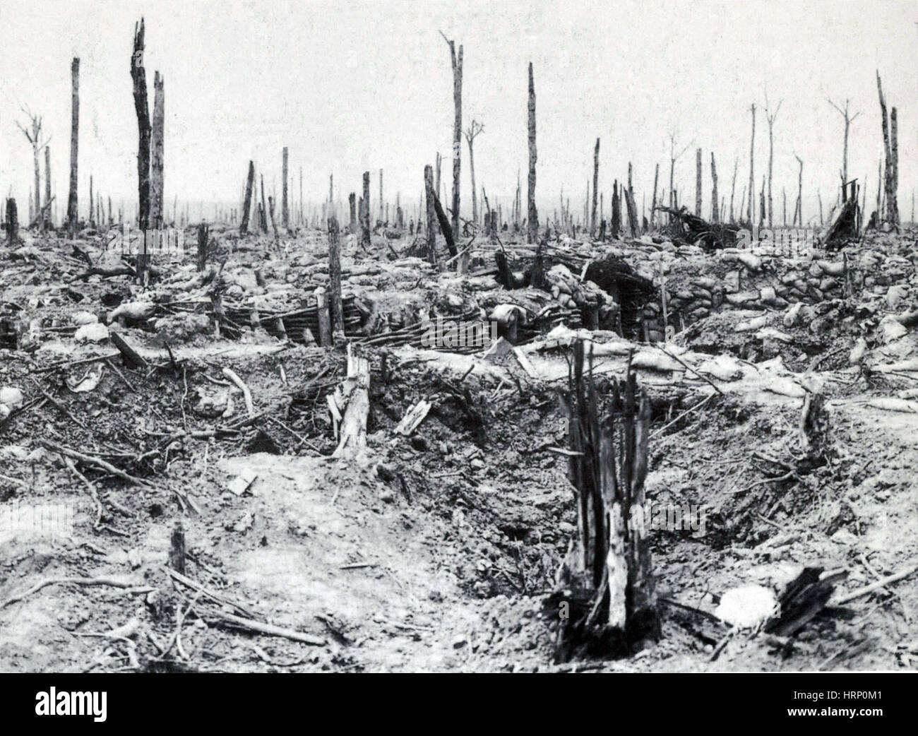 La prima guerra mondiale, la battaglia di Messines Ridge, 1917 Foto Stock