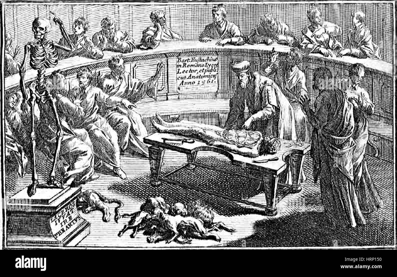 Teatro anatomico dissezione, 1714 Foto Stock