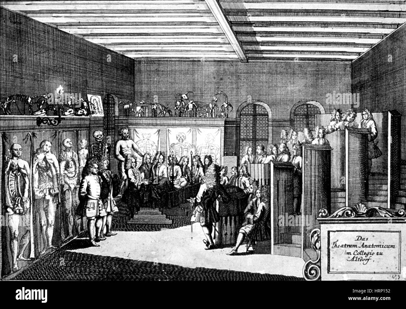 Teatro anatomico dissezione, 1650 Foto Stock