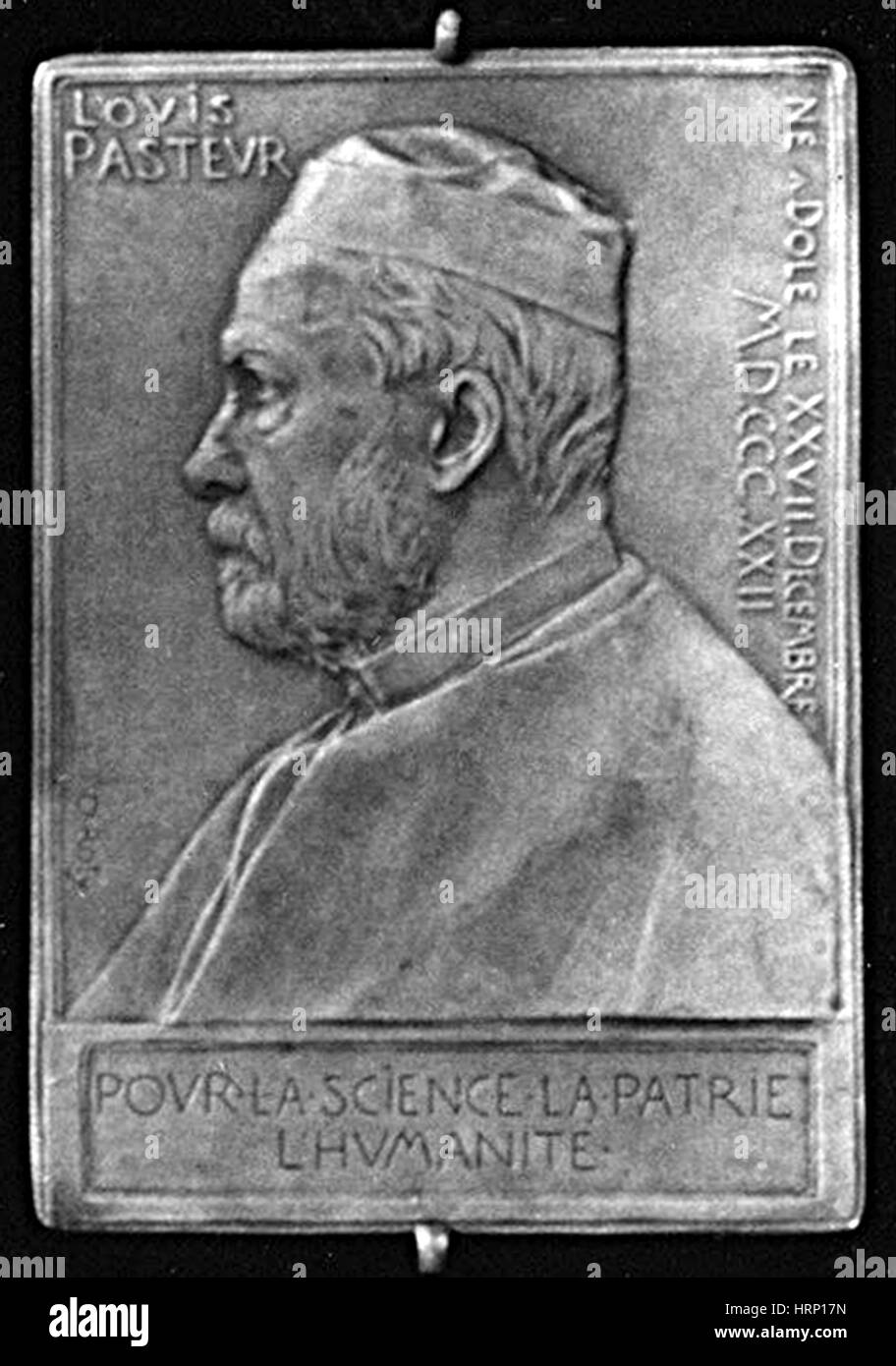 Louis Pasteur, chimico francese e Bacteriologist Foto Stock