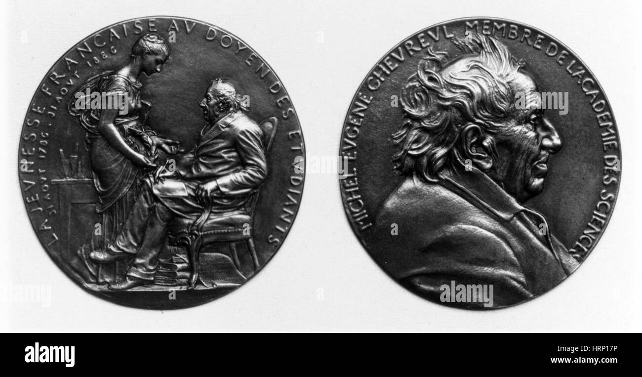 Michel EugÌ¬ne Chevreul, chimico francese Foto Stock