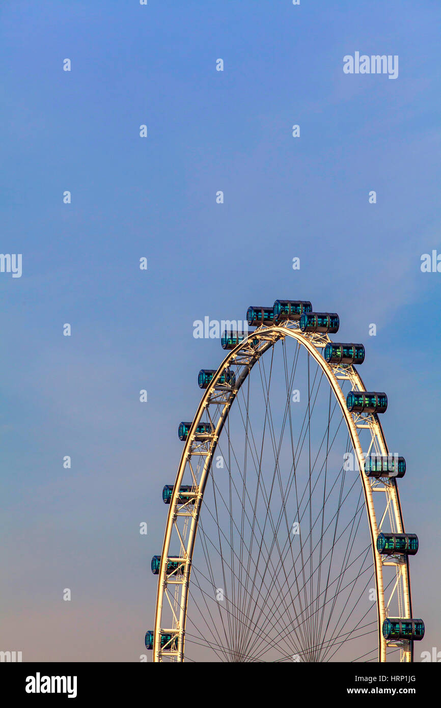 Ruota panoramica Ferris Singapore Flyer, Marina Bay, nucleo centrale ,, Singapore, Asia, Singapore Foto Stock