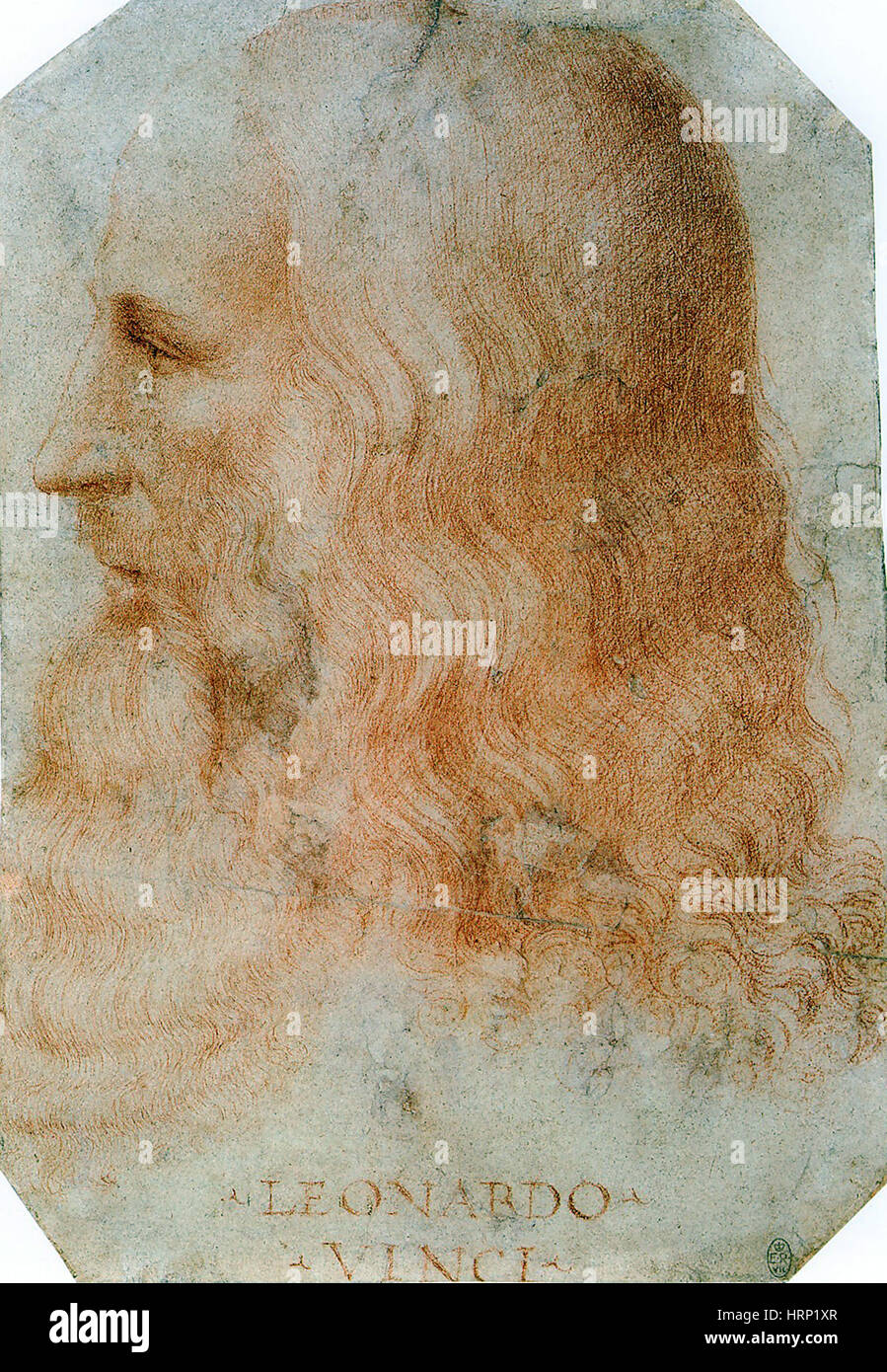 Leonardo da Vinci, Rinascimento Italiano Polymath Foto Stock