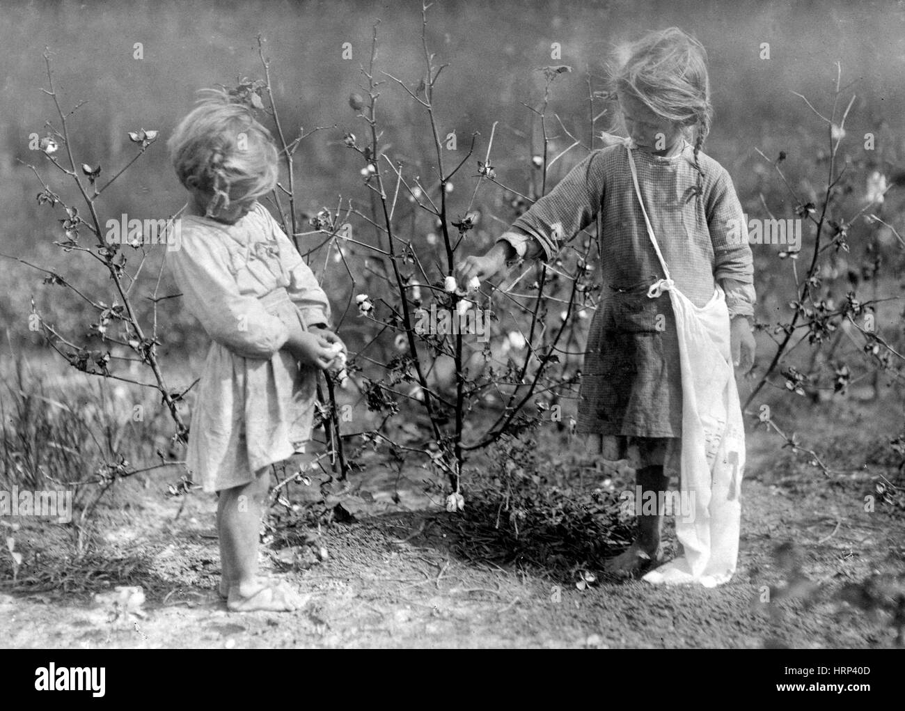 Texas raccoglitrici di cotone, Lews Hine, 1913 Foto Stock