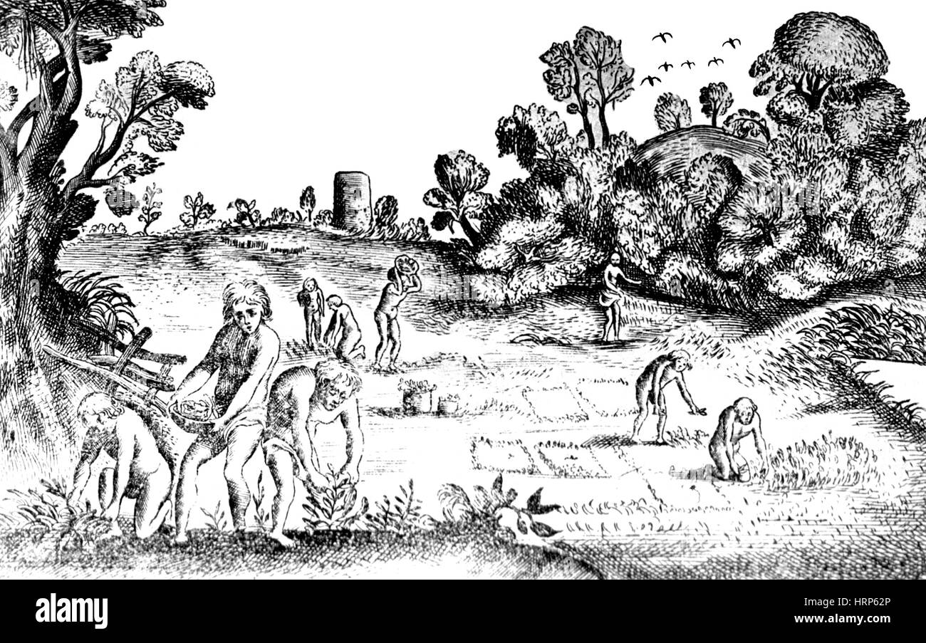 La semina e il raccolto di tabacco, 1626 Foto Stock