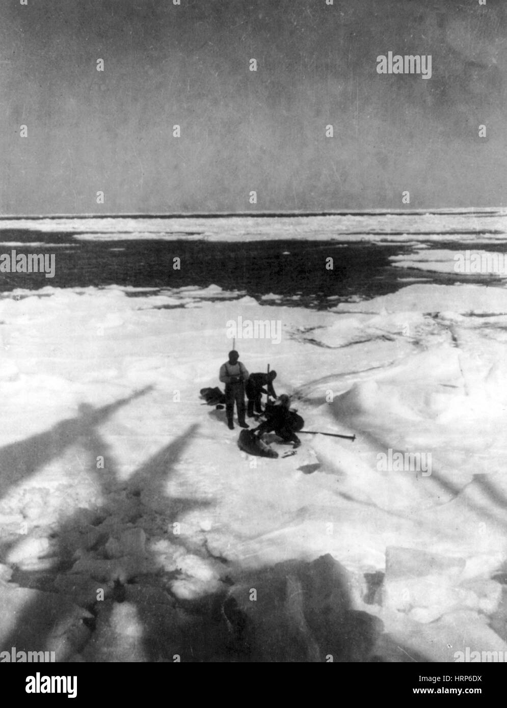 Roald Amundsen, Polo Sud Expedition, 1911 Foto Stock