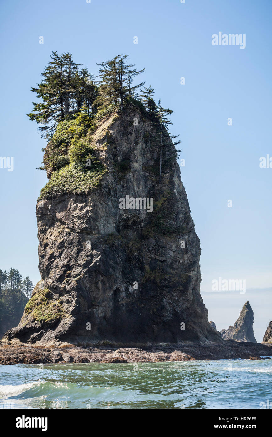 La costa rocciosa nella parte finale a sud della Seconda Spiaggia, Parco Nazionale di Olympic, Washington, Stati Uniti d'America. Foto Stock
