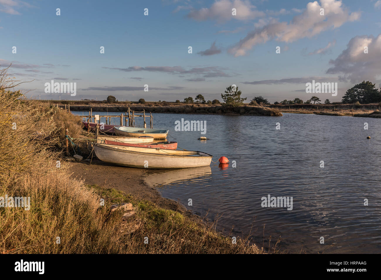 Barche sul fiume Auzance in Brem-sur-mer, Francia Foto Stock