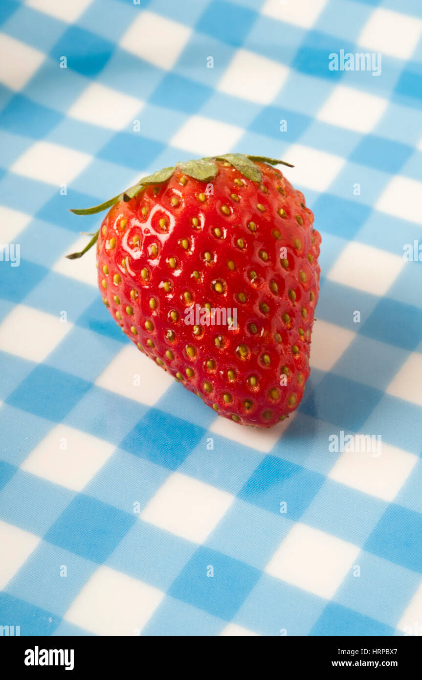 una fragola Foto Stock