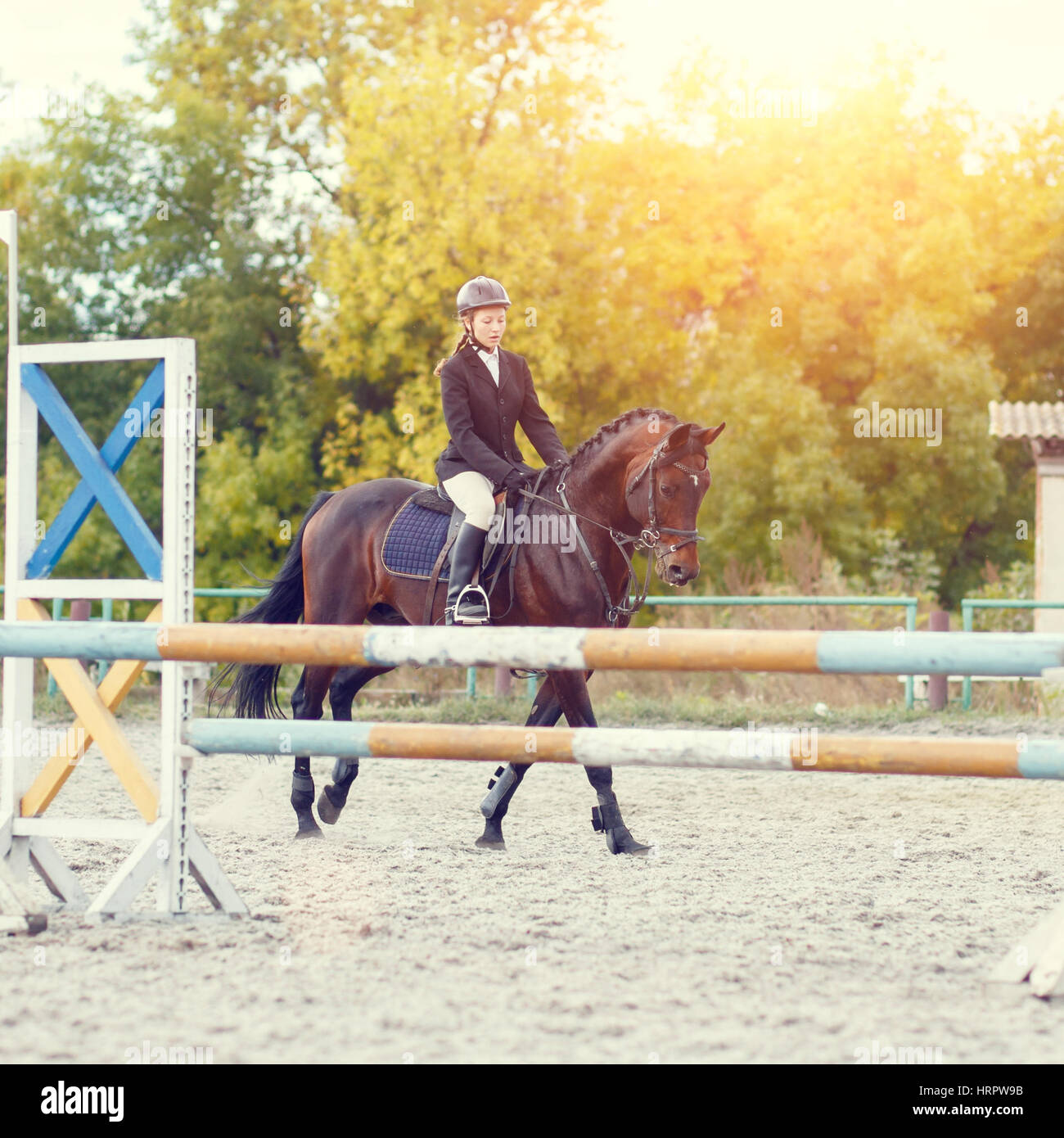 Pilota giovane ragazza sulla baia di estensione a cavallo lungo un ostacolo per il salto a ostacoli la concorrenza Foto Stock