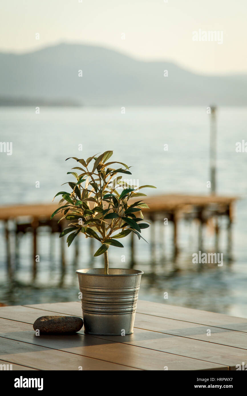 Albero di olivo su un tavolo a outdoor cafe con il molo di legno e le montagne sullo sfondo Foto Stock