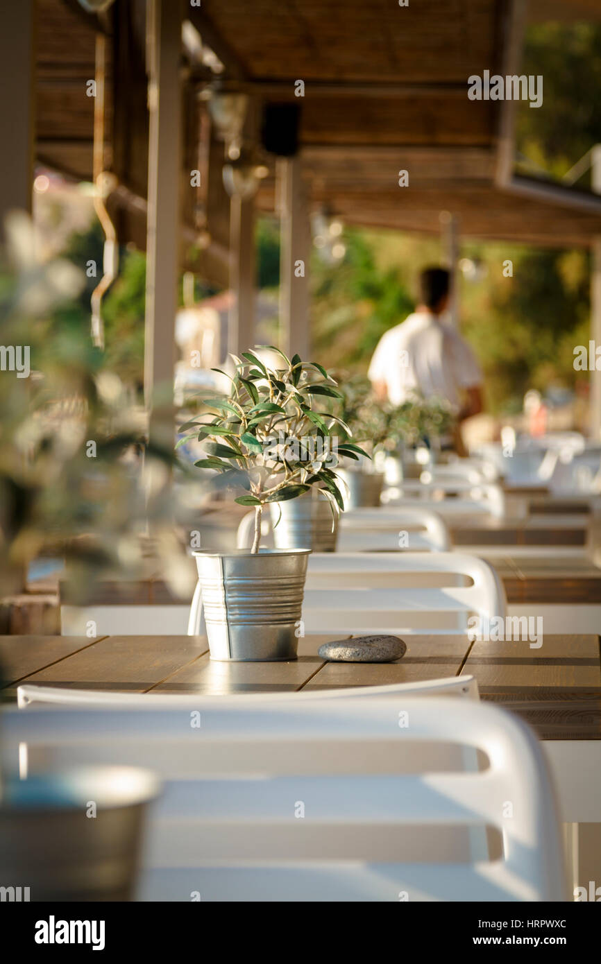 Albero di olivo sul tavolo nel ristorante e cameriere in attesa in background Foto Stock