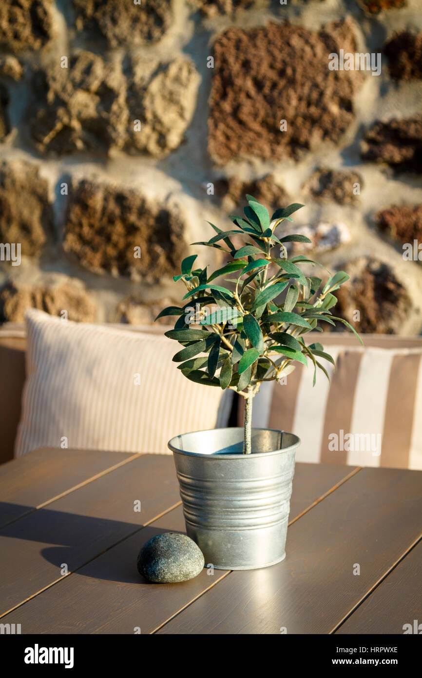 Albero di olivo su un tavolo a outdoor cafe con arredamento marrone Foto Stock
