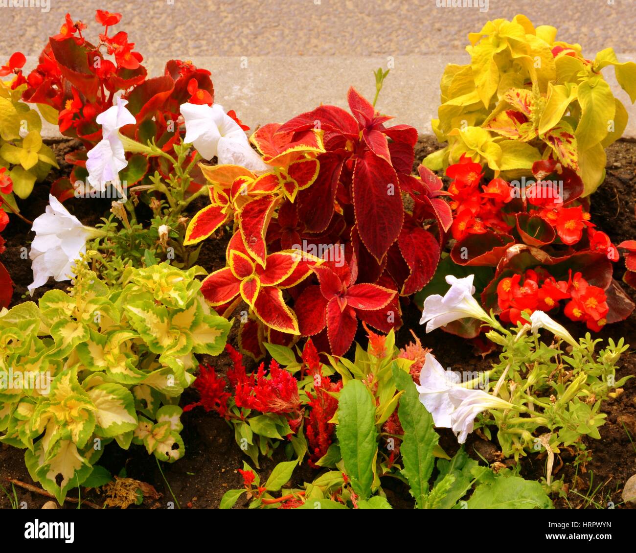 Tipica casa di villaggio Codlea, Transilvania, Romania. Foto Stock