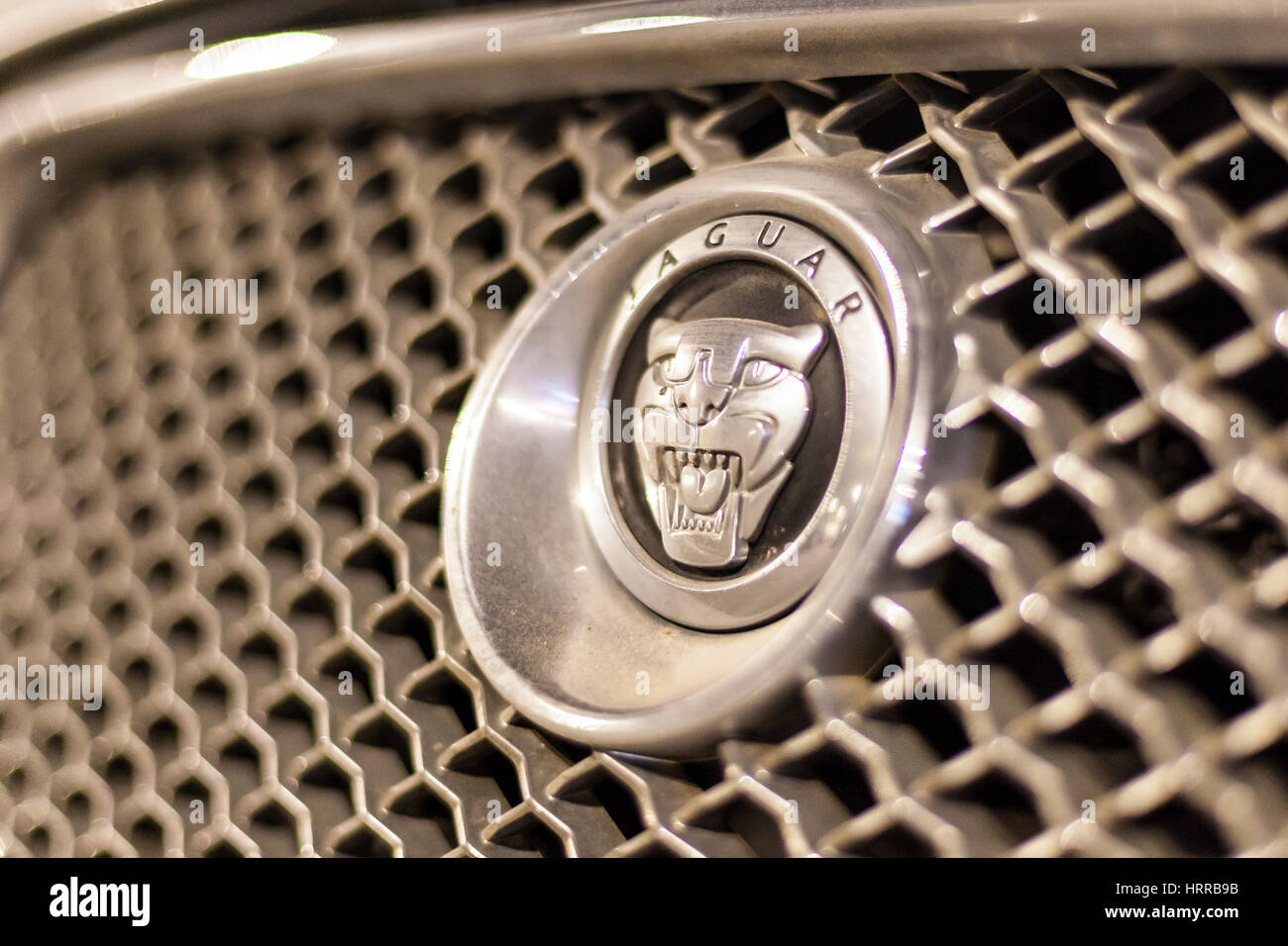 ABU DHABI, Emirati Arabi Uniti - 26 NOV 2016: Jaguar logo aziendale su una vettura illuminata di notte Foto Stock