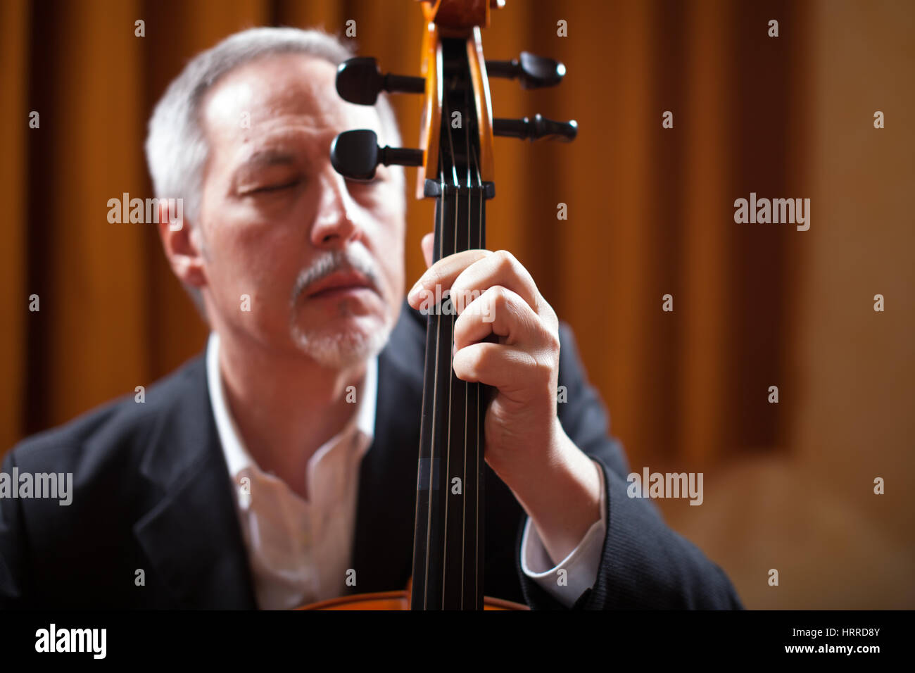 Musicista che gioca una viola Foto Stock