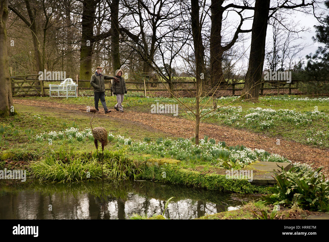 Regno Unito, Inghilterra, Cheshire, studioso verde, Rode Hall, giardini, visitatori tra bucaneve intorno al laghetto di stufato alla fine di febbraio Foto Stock