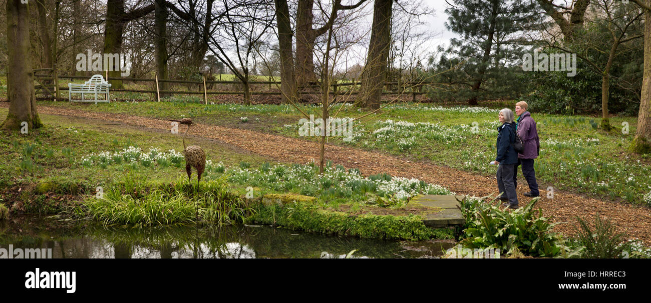 Regno Unito, Inghilterra, Cheshire, studioso verde, Rode Hall, giardini, visitatori tra bucaneve intorno al laghetto di stufato nel tardo febbraio, panoramica Foto Stock