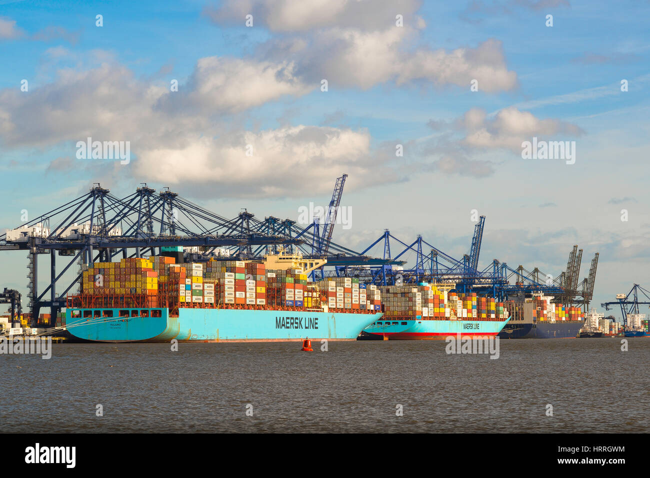 Commercio internazionale, vista delle navi container scaricate nel più grande porto di container del Regno Unito, Felixstowe, Inghilterra. Foto Stock