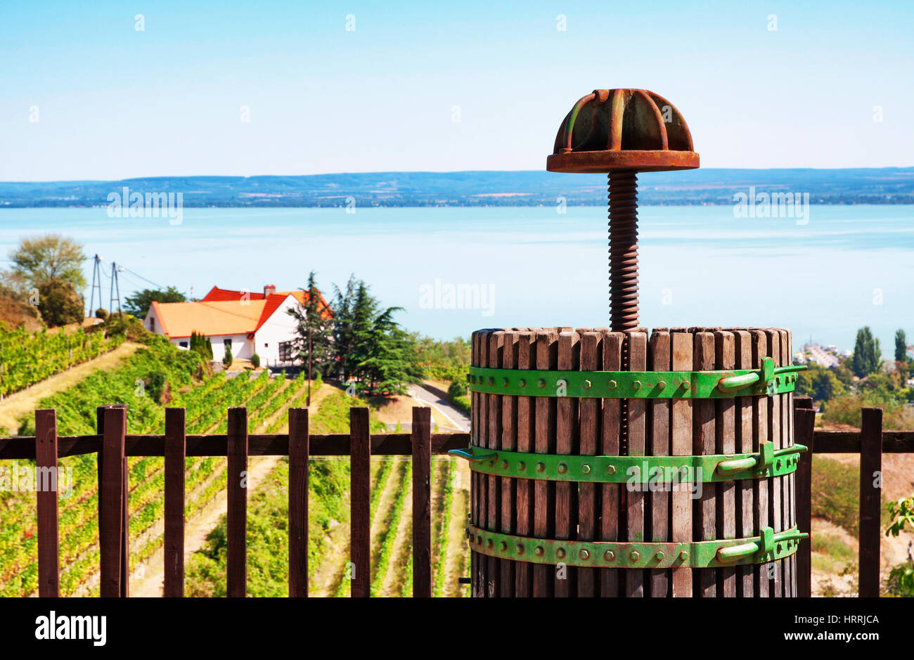 Vino-premere sul Lago Balaton, Ungheria Foto Stock